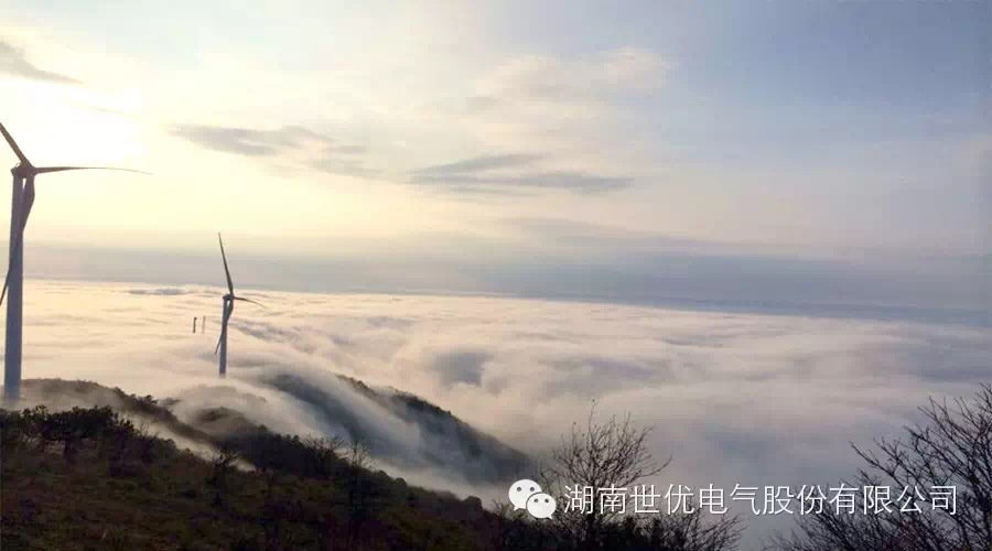 20220113113054_6193 PG电子·(中国区)官方网站-不凡成就非凡